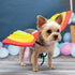 Rainbow Wings Dog Costume