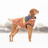 Retro Puffer Dog Jacket Hazel