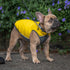 Reversible Dog Puffer Jacket Yellow/Grey