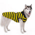 Reversible Ladybug/Bumble Bee Dog Costume