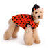 Reversible Ladybug/Bumble Bee Dog Costume