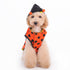 Reversible Ladybug/Bumble Bee Dog Costume