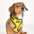 Ritefit Dog Harness