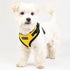 Ritefit Dog Harness