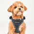 Ritefit Dog Harness