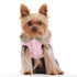 Ruched Reversible Bubble Dog Jacket
