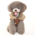 Ruched Reversible Bubble Dog Jacket