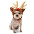 Rudolph Reindeer Dog Hat