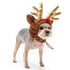 Rudolph Reindeer Dog Hat