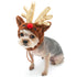 Rudolph Reindeer Dog Hat