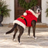 Santa Dog Sweater