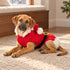 Santa Dog Sweater
