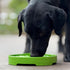 Shallow eTray Slow Feeder Dog Bowl Garden