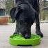 Shallow eTray Slow Feeder Dog Bowl Garden