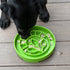 Shallow eTray Slow Feeder Dog Bowl Garden