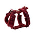 Sherpa Dog Harness 'Bordeaux'