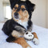 Skeleton Beastball Dog Toy