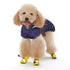 Slip-On Paws Dog Shoes