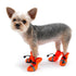 Slip-On Paws Dog Shoes