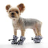Slip-On Paws Dog Shoes Furry Camo