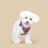 SoHo Dog Harness Lilac Grey