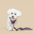 SoHo Dog Harness Lilac Grey