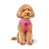 SoHo Dog Harness Park Ave Pink