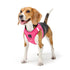 SoHo Dog Harness Park Ave Pink