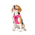 SoHo Dog Harness Park Ave Pink