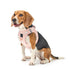 SoHo Dog Harness Sweetheart