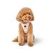 SoHo Dog Harness Sweetheart