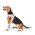SoHo Dog Harness Sweetheart