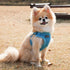 Soft Dog Harness C