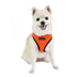 Soft Dog Harness II