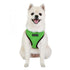 Soft Dog Harness II