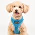 Soft Dog Harness Pro