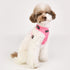 Soft Superior Dog Harness A