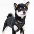 Soft Superior Dog Harness A