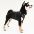 Soft Superior Dog Harness A