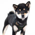 Soft Superior Dog Harness A