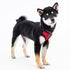 Soft Superior Dog Harness A
