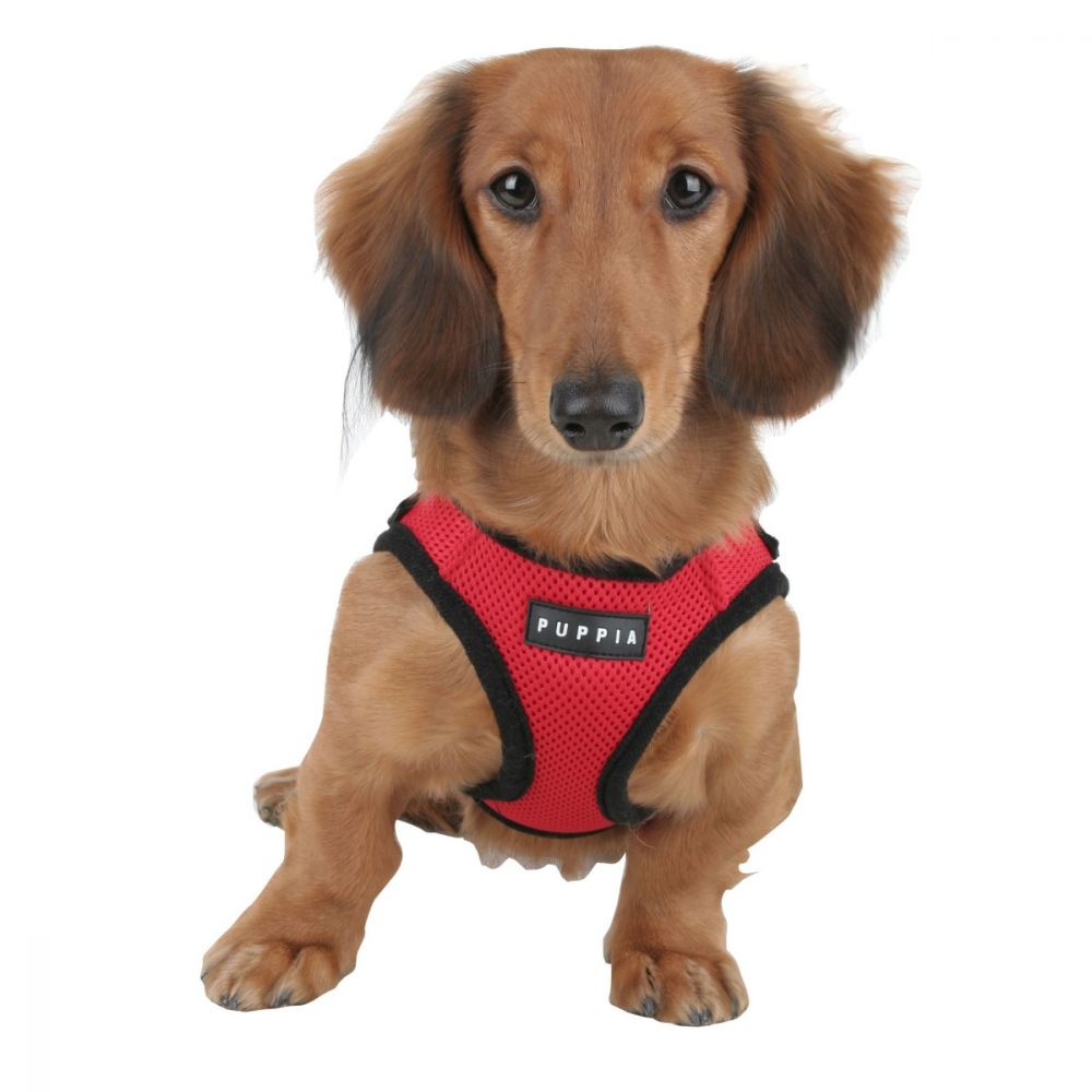 Soft Vest Dog Harness B Bitch New York soft-vest-dog-harness-b-bitch-new-york