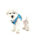 Soft Vest Dog Harness II