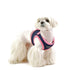 Soft Vest Dog Harness II