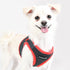Soft Vest Dog Harness II