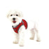 Soft Vest Dog Harness II