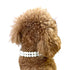 Sparkle & Pearl Dog Collar Ivory