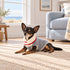 Spencer Dog Sweater