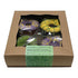 Spring Donut Boxed Dog Treats