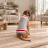Squirrel Patrol Dog Sweater